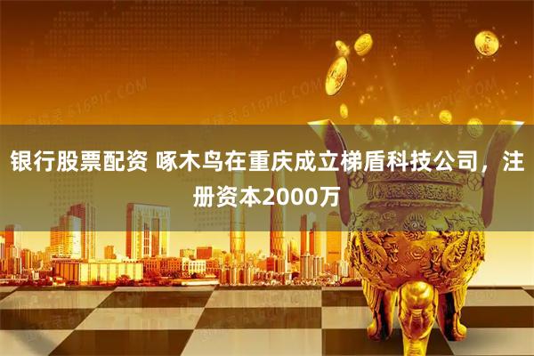 银行股票配资 啄木鸟在重庆成立梯盾科技公司，注册资本2000万