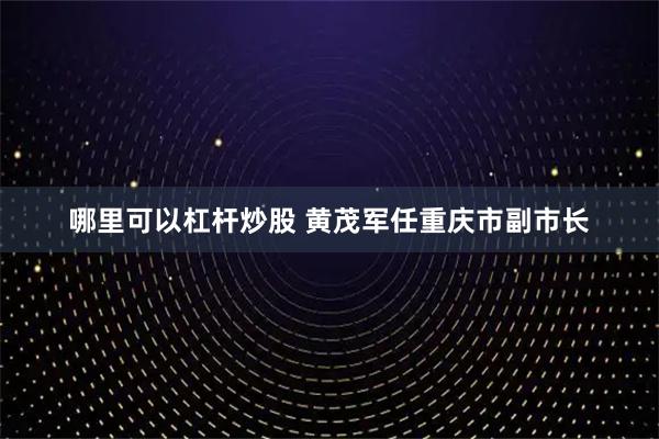 哪里可以杠杆炒股 黄茂军任重庆市副市长