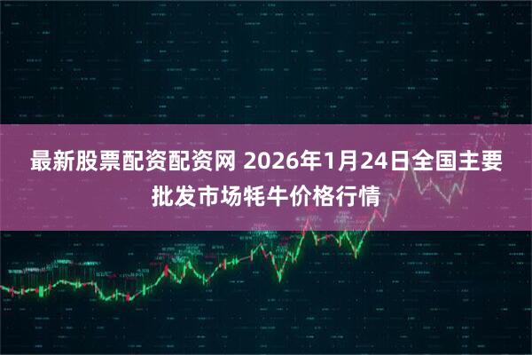 最新股票配资配资网 2026年1月24日全国主要批发市场牦牛价格行情