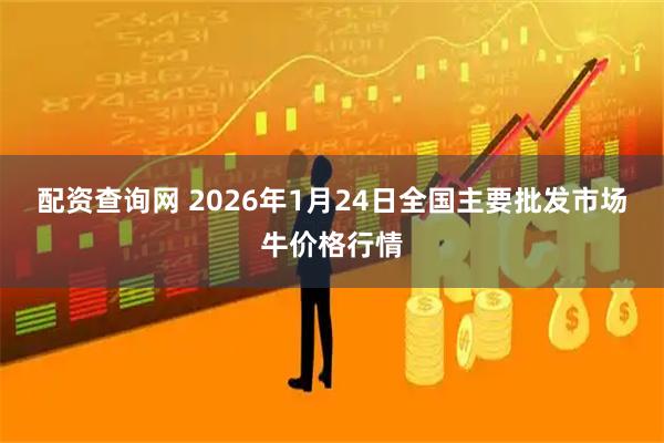 配资查询网 2026年1月24日全国主要批发市场牛价格行情