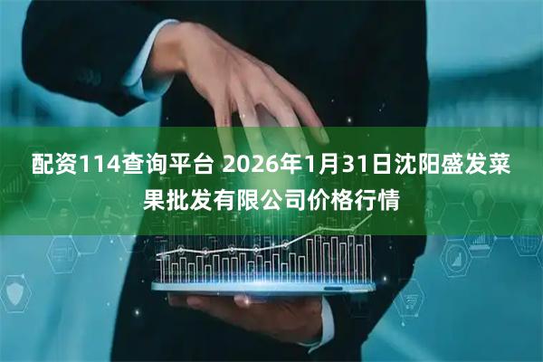 配资114查询平台 2026年1月31日沈阳盛发菜果批发有限公司价格行情