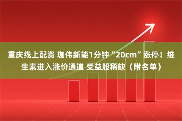 重庆线上配资 珈伟新能1分钟“20cm”涨停！维生素进入涨价通道 受益股稀缺（附名单）