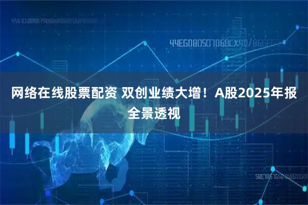 网络在线股票配资 双创业绩大增！A股2025年报全景透视